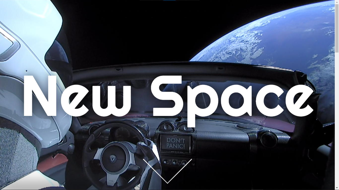 A picture of Starman in Elon Musk's roadster