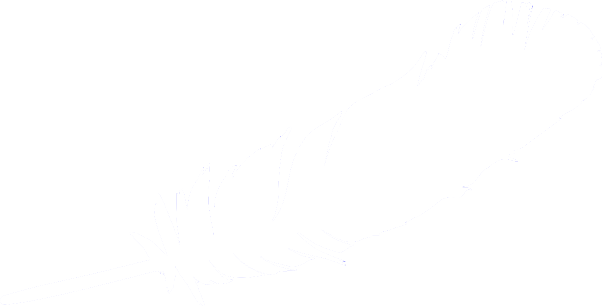 The Blue Origin feather. Credit: Blue Origin